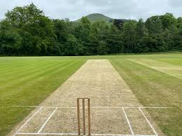 Image result for Falkland Cricket Club
