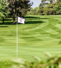 Image result for Letchworth Cricket Club