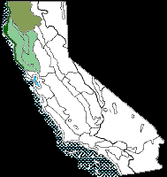 Attēlu rezultāti vaicājumam “Dicranella crispa”
