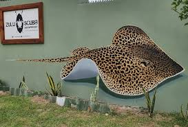 Image result for Himantura uarnak