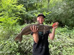 Image result for The Lancaster Fish