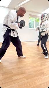 Image result for Moo Sool Academy