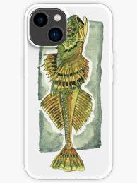 Image result for Myoxocephalus quadricornis