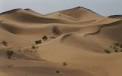 Desertification - a threat to the Sahel