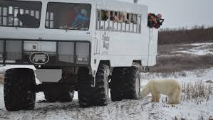 Image result for tundra buggy