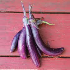 Afbeeldingsresultaat voor fengyuan purple eggplant