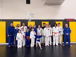 Image result for Hillsborough Judo Club