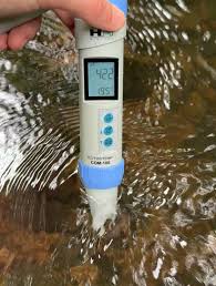 Image result for Dulverton Angling Association