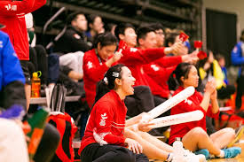 Image result for The Drakes Badminton Club