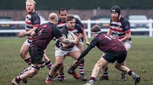 Image result for Novocastrians Rugby Football Club