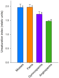Attēlu rezultāti vaicājumam “Pseudobryum cinclidioides cells”