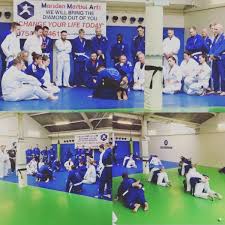 Image result for Marsden martial arts