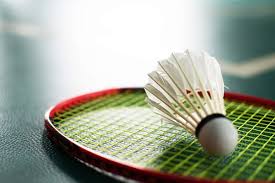 Image result for London Road Badminton Club