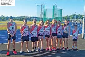 Image result for Llanelli Athletic Club