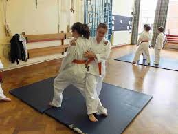 Image result for ZOKU SHOTOKAN KARATE (Baldock)