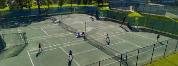 Image result for Piddle Valley Tennis Club
