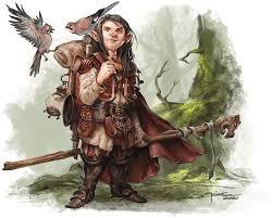 Image result for druid