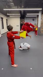 Image result for West Jordan Martial Arts Dojo