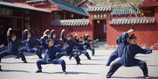 Image result for Shaolin Ancestors kung Fu School