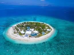 「ナジマ・ゲブール」の画像検索結果