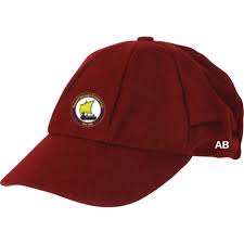 Image result for Gosport Borough Cc