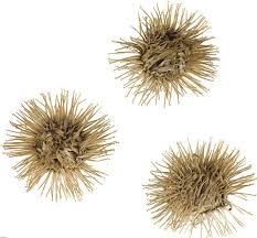 Attēlu rezultāti vaicājumam “Arctium lappa fruit”