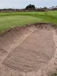 Image result for Romanby Golf Course