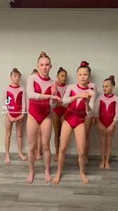 Image result for Hemsworth Odyssey Gymnastics Squad