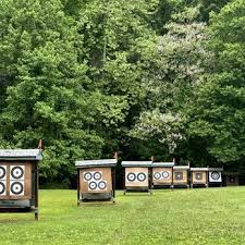 Image result for Castle Field Archers