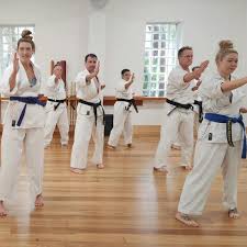 Image result for Jin Sei Kai Shotokan Karate