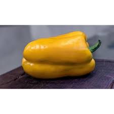 Afbeeldingsresultaat voor thai yellow hot pepper