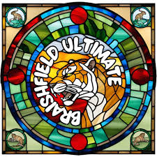 Image result for Braishfield Ultimate