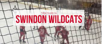 Image result for Swindon Panthers