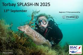 Image result for Torbay Sub-Aqua Club