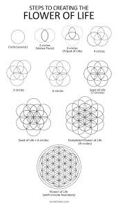 Image result for life flower