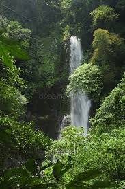 「parque los chor」の画像検索結果