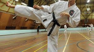 Image result for Ipswich Shotokan Karate Club