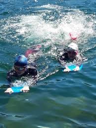 Image result for Nuneaton & Bedworth Swimming Club