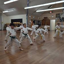 Image result for Yonju dojo shotokan karate club