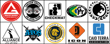 Image result for Reading World Ju-jitsu Club