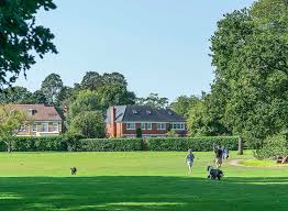 Image result for Walton-On-Thames Cricket Club