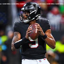 Image result for Falcons Black
