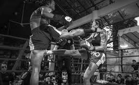 Image result for Enfield T'ai Tsung Chinese Boxing