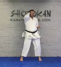 Image result for enpi dojo