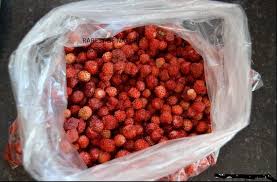 Attēlu rezultāti vaicājumam “Fragaria viridis fruit”