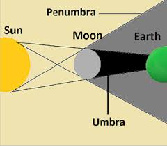 Attēlu rezultāti vaicājumam “Panolis umbra”