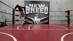 Image result for Nu Breed Wrestling Academy