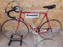 Image result for Taw Velo