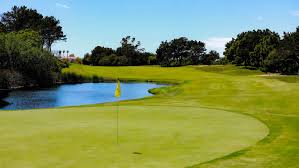 Image result for The Alt Golf Club