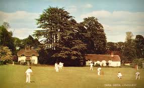 Image result for Forest Green Cricket Club